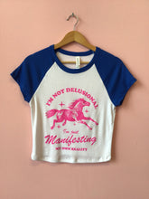 Load image into Gallery viewer, “I’m Not Delusional…” Shirt