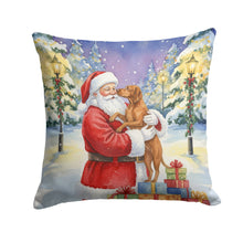 Load image into Gallery viewer, Vizsla with Santa Claus Throw Pillow