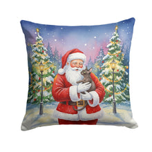 Load image into Gallery viewer, Lykoi Cat with Santa Claus Throw Pillow