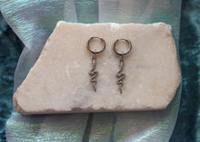 Load image into Gallery viewer, “Filled my Cell With Snakes” Titanium Charm Earrings