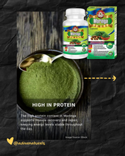 Load image into Gallery viewer, Moringa 60 Capsules [Plant-based protein and iron] Great for Vegans &amp; Vegetarians