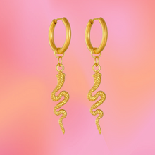Load image into Gallery viewer, “Filled my Cell With Snakes” Titanium Charm Earrings
