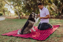 Load image into Gallery viewer, Blanket Tote Outdoor Picnic Blanket